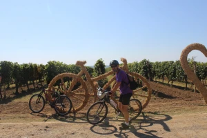 Wine & Bike Tour Erdut