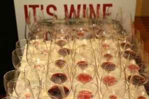 Dubrovnik FestiWine