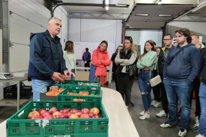 Otkupni centar tvrtke Enna Fruit u Donjem Miholjcu