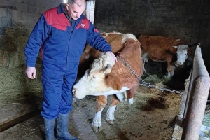 Ivan Miletić, poljoprivrednik i načelnik iz Sv. Roka