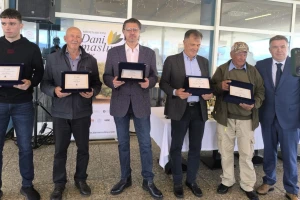 Dani masline 2025
