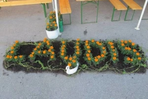 Održani Bayer Agro Dani u Agrokući d.o.o.