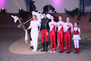 Vaulting horse