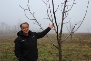 Više od tisuću stabala oraha na OPG-u Mladen Miličević