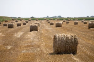 Bale slame