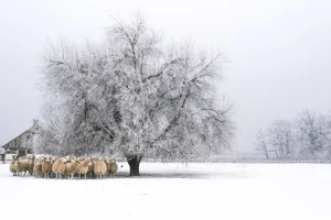 Pobjednici foto natječaja "Volim svoju županiju"