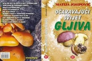 Očaravajući svijet gljiva
