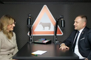 David Vlajčić u podcastu