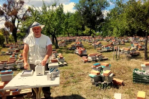 Marin je treća generacija pčelara u obitelji Kovačić