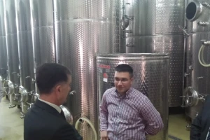 Vina Markota