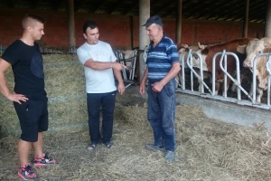 OPG Mikanović