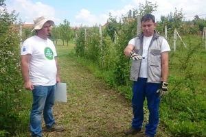 OPG Radić