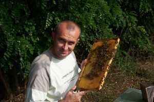 Pčelarstvo Barać