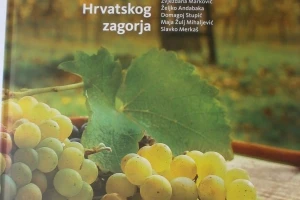 Vinova loza