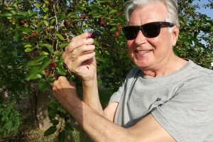 Sezona murava: Agronomi u "krađi" murava kod kuma Ante u Suhovarama