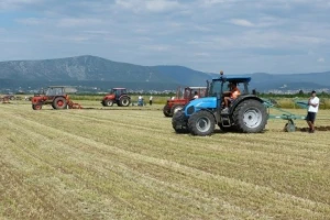 Natjecanje dalmatinskih orača