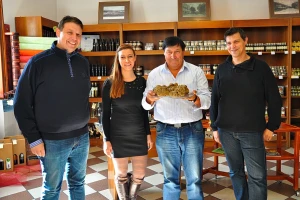 Zigante tartufi