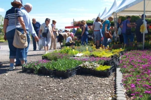 Floraart - 51. međunarodna vrtna izložba