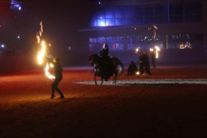 Božićni bal lipicanaca 2015