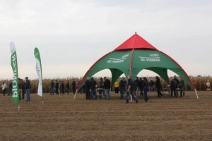 Pioneer Dan polja - Klisa 2015