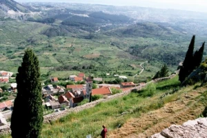 Kliško polje