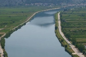 Berba zelene salate u dolini Neretve
