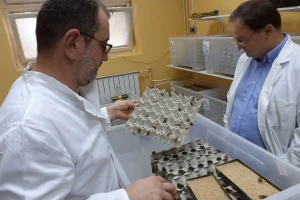 Insektarij - tvornica buba, prva hrvatska certificirana farma kukaca