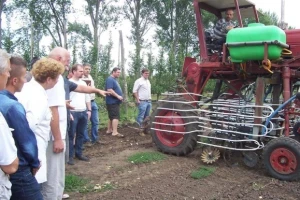 Uzgoj jabuka u Mađarskoj