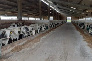 Poremećaj na tržištu zbog koronavirusa