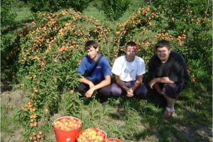 Srednja škola Dalj - dobra poljoprivredna praksa!