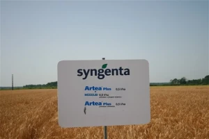 Dani polja Syngenta