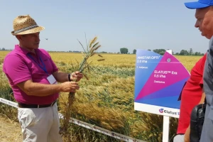 Syngenta - Centralni dan polja 2018, Višnjica