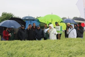 Syngenta HyVido zaradionica!