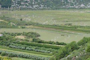 Velike štete u poljoprivredi u Vrgoračko-neretvanskom polju