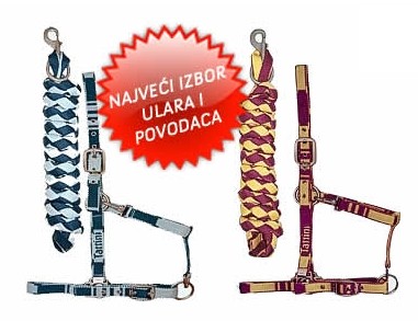 Galop_ulari