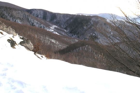 Vidikovac