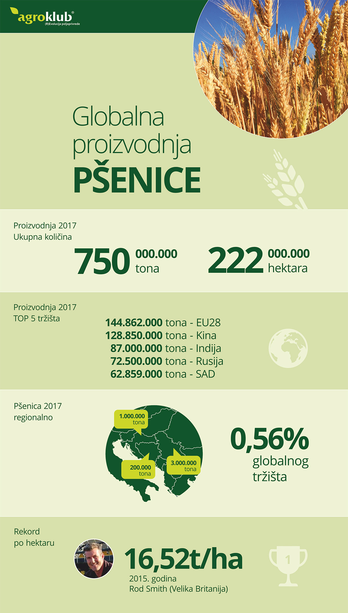 Infografika - pšenica