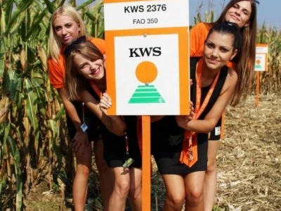 Vesele KWS hostese