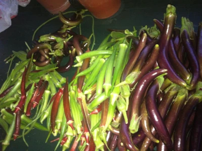 Bamija (Okra)
