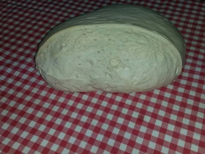 Domaći kruh pred pečenje