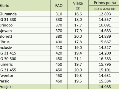 Pokusi hibrida kod Miklin Davora