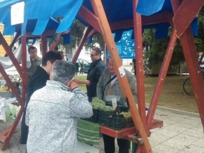 Voćarstvu u Podravini i Prigorju treba vjetar u leđa