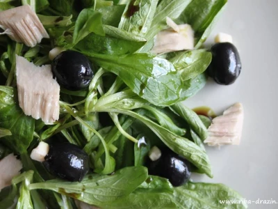 Salata od ribe, maslina i rikole
