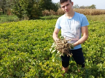 Filip