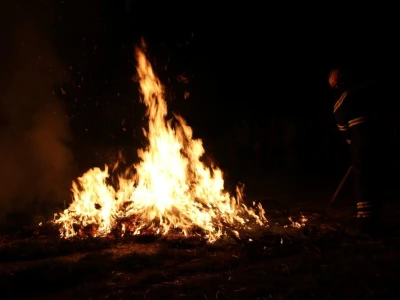13. Slama Land Art Festival - Femina