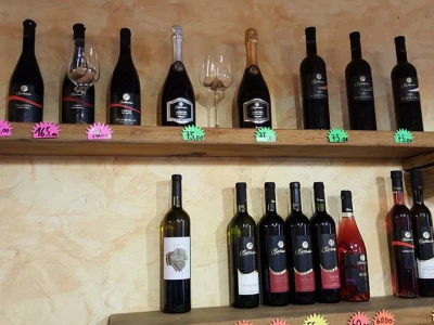 Vina Cattunar