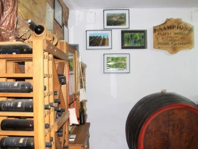 Razvoj ruralnih područja putem promicanja savjetodavnih službi