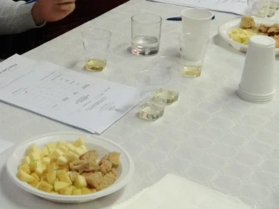 14. Edukacijsko ocjenjivanje kvalitete voćnih rakija i likera u HGK ŽK Osijek