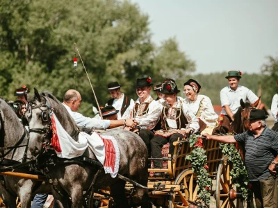 14. smotra svatovskih zaprega