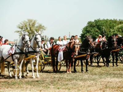 14. smotra svatovskih zaprega